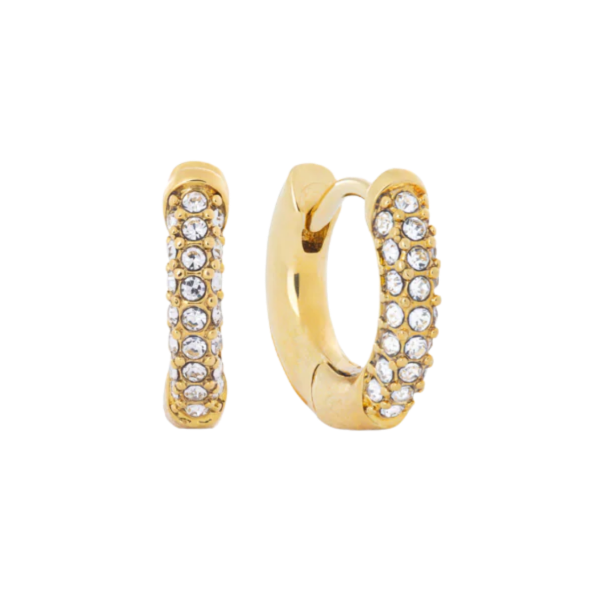Ari Earrings
