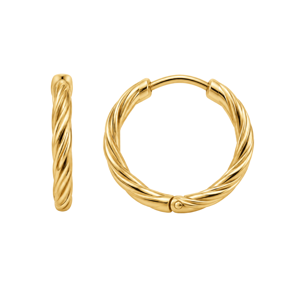 Cecilia Hoop Earrings