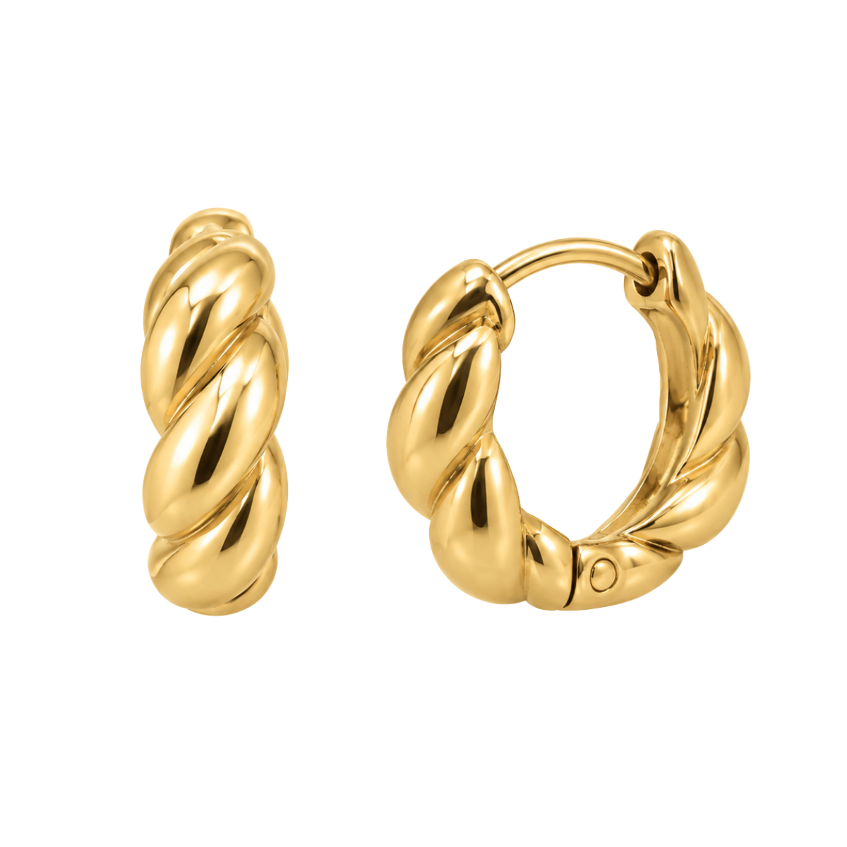 Shelley Hoop Earrings