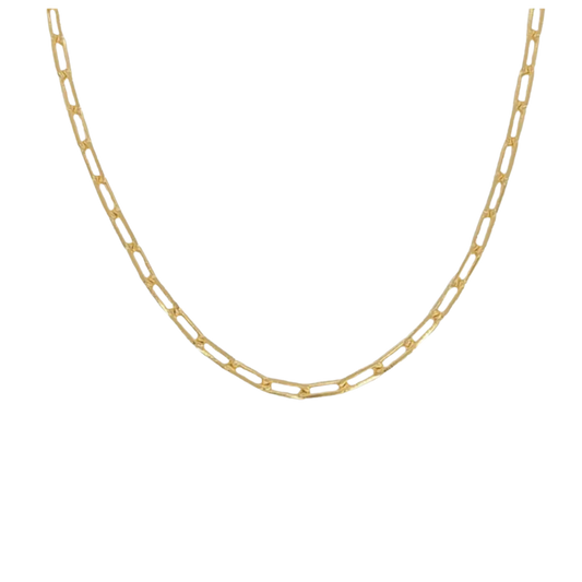 SR Standard Paperclip Necklace