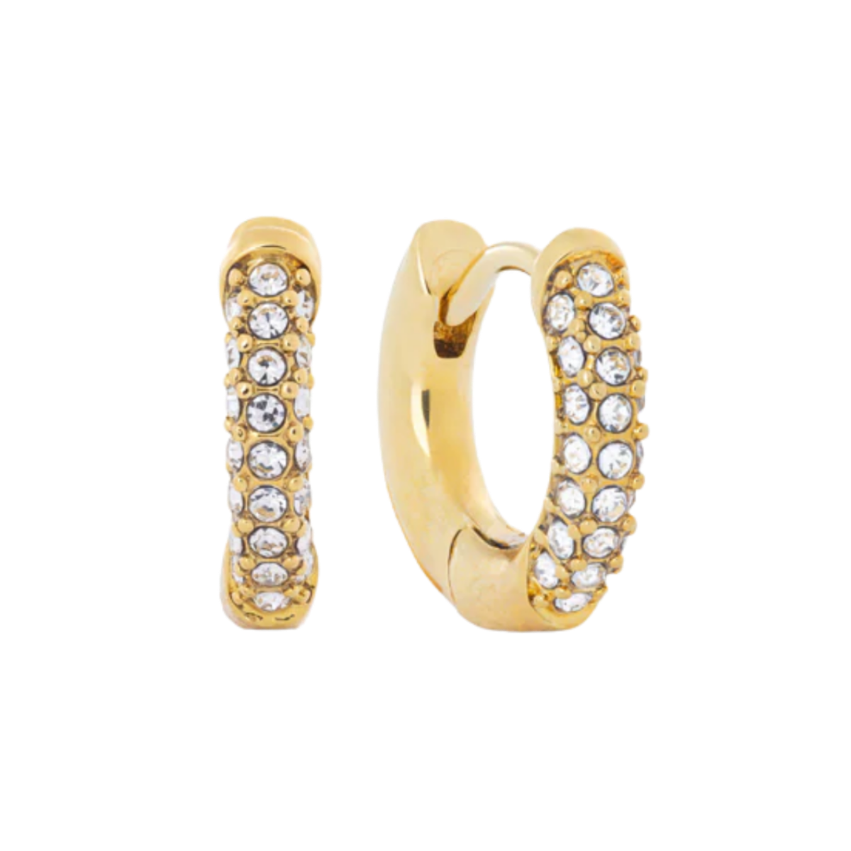 Ari Earrings