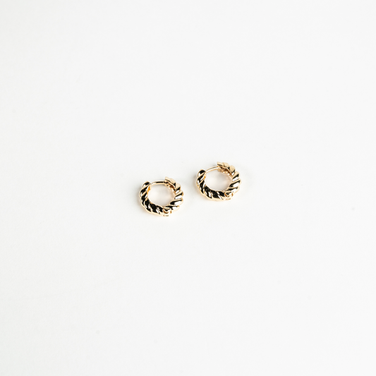 Beth Hoop Earrings
