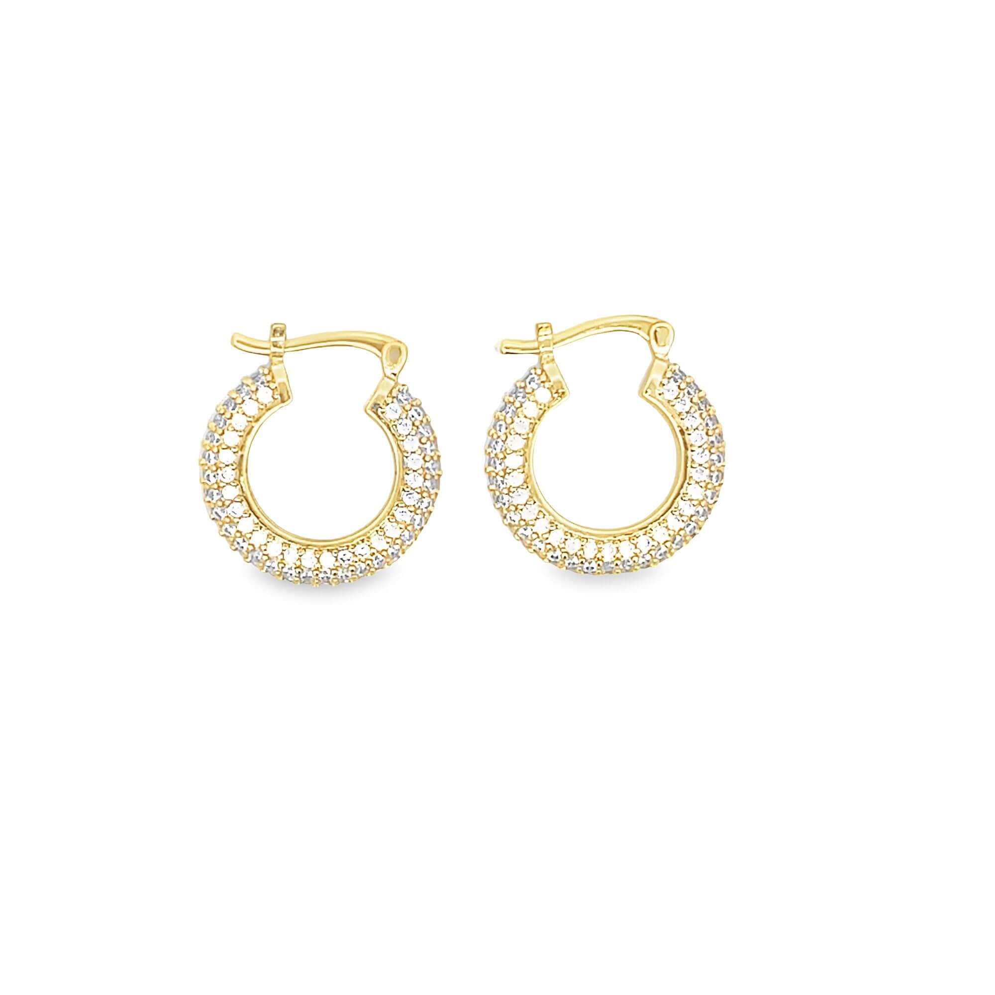 Hayden Earrings