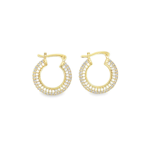 Hayden Earrings