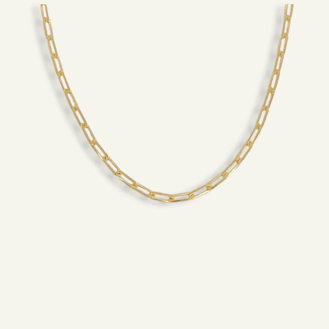 Standard Paperclip Necklace